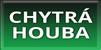 Chytrá houba